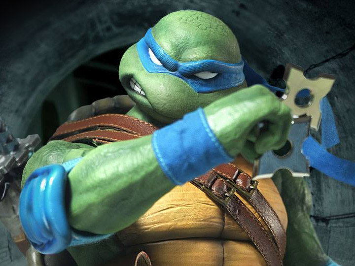 סט צבי הנינג'ה + שרדר 1/6 – תמונה 14