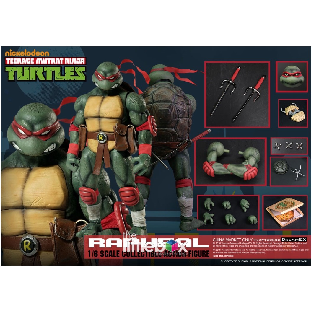 סט צבי הנינג'ה + שרדר 1/6 – תמונה 31