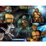 צבי הנינג'ה