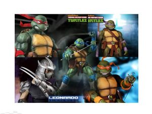 סט צבי הנינג'ה + שרדר 1/6