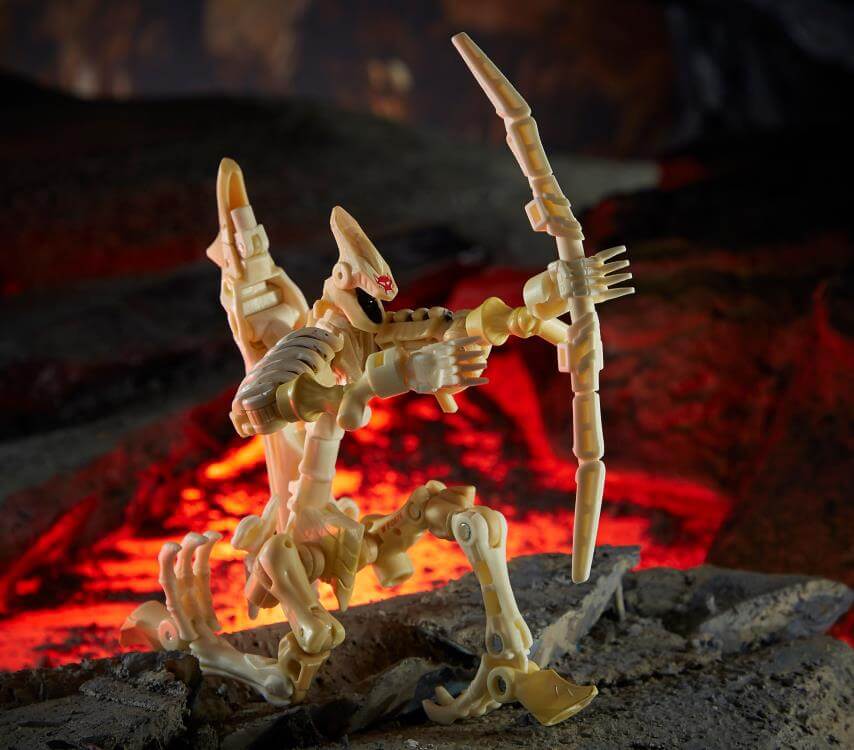 ווינגפינגר - kingdom wingfinger – תמונה 8