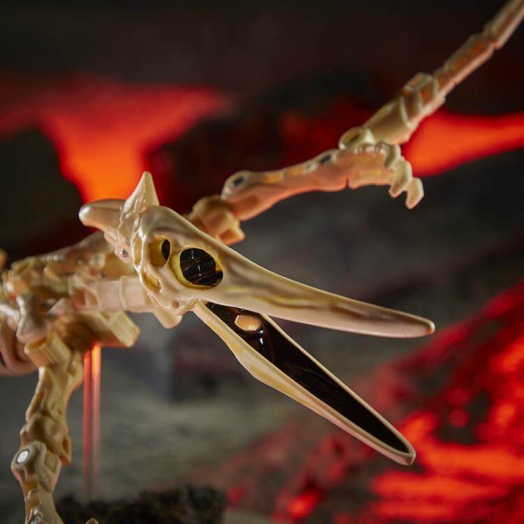 ווינגפינגר - kingdom wingfinger – תמונה 3