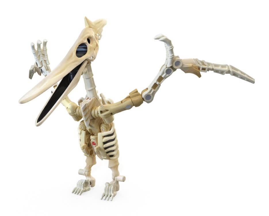 ווינגפינגר - kingdom wingfinger – תמונה 9