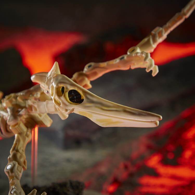 ווינגפינגר - wingfinger