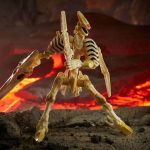 ווינגפינגר wingfinger